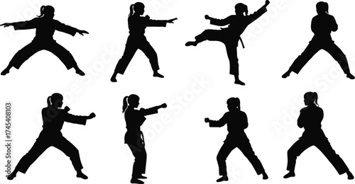 Silhouette of female martial artists practicing karate poses, self defense techniques, fitness training, combat movement, black belt discipline, strength concept illustration