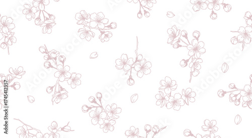 Delicate pink cherry blossom branches with scattered petals create an elegant and serene floral pattern