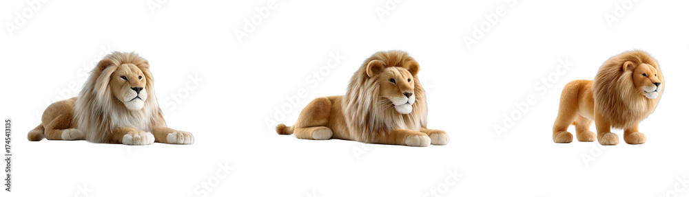 Obraz premium Set of Majestic Lion King of Beasts with Golden Mane