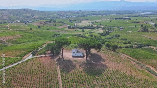 A Bird's-Eye Perspective - Summer Splendor in Villafranca del Bierzo with Vineyards and Countryside, Spain