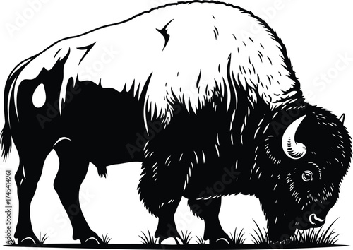American Bison Grazing Silhouette Vector – Buffalo Wildlife Illustration with Shaggy Fur and Horns