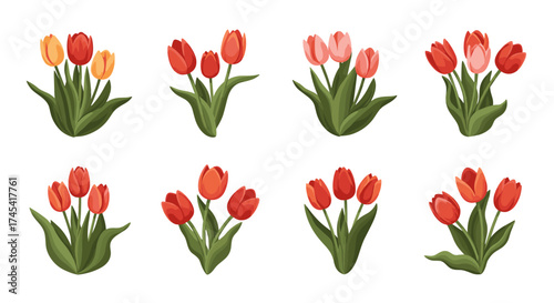 A delightful collection of colorful tulip bouquets in various arrangements.