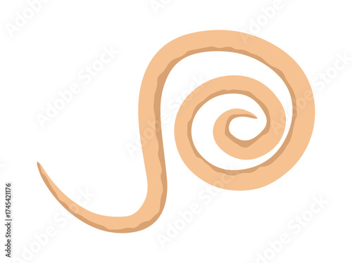 roundworm Clip Art Illustration
