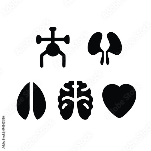 Clean Vector Pictogram Set of Simplified Human Anatomy