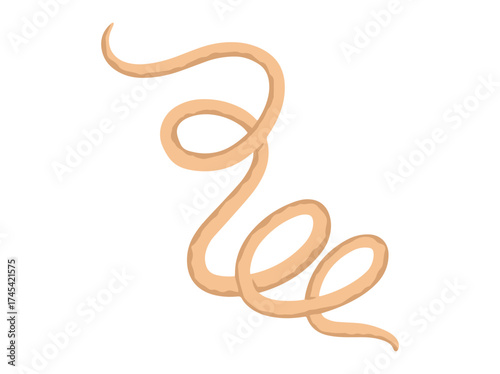 roundworm Clip Art Illustration

