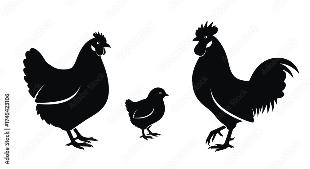 Fototapeta premium Black chickens and roosters silhouette vector