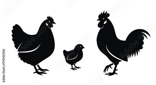 Black chickens and roosters silhouette vector