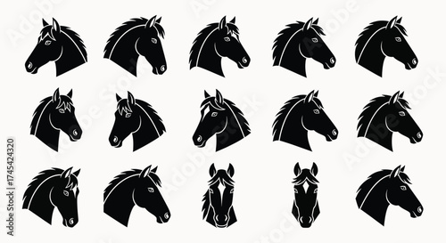 Black horse heads various poses horses equine