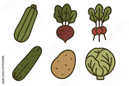 Isolated set of fresh garden vegetables zucchini cucumber potato beet radish and cabbage