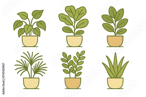 Collection of various green potted houseplants for home decor and gardening concepts