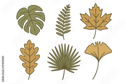 Diverse stylized botanical leaves collection featuring tropical and autumn varieties