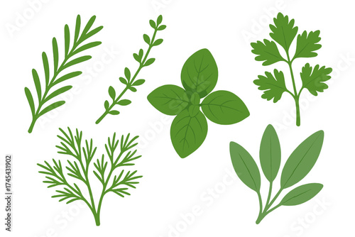 Fresh green aromatic cooking herbs collection including basil, rosemary, and sage