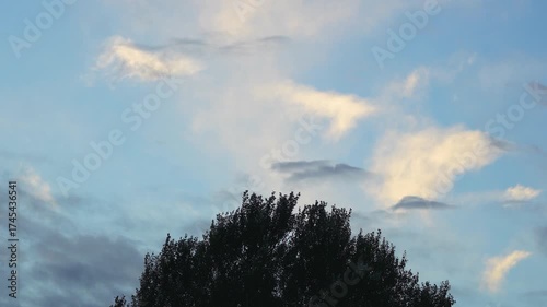 time lapse clouds in the blue sky above a tree
