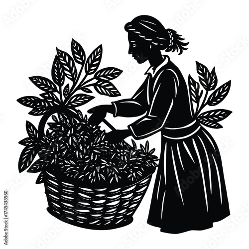 Woman Harvesting Plants in a Basket Black and White Silhouette Art on White Background