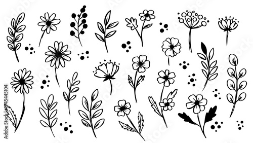 Delicate hand-drawn floral elements offer a timeless charm for invitations, branding, and designs needing a touch of natural elegance and simplicity
