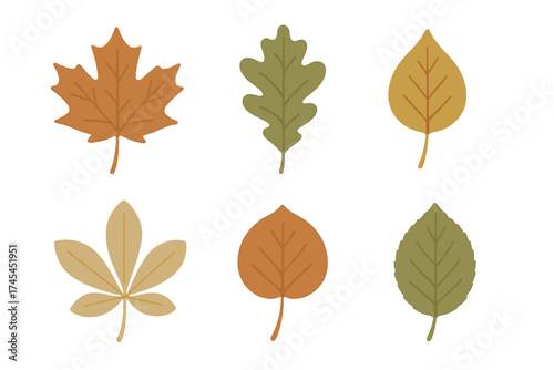 Collection of six stylized fall leaves in earthy colors isolated on white background for seasonal design