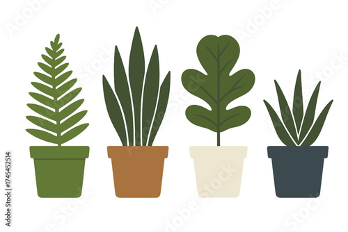 Diverse group of potted green indoor plants displayed in a row against a white background