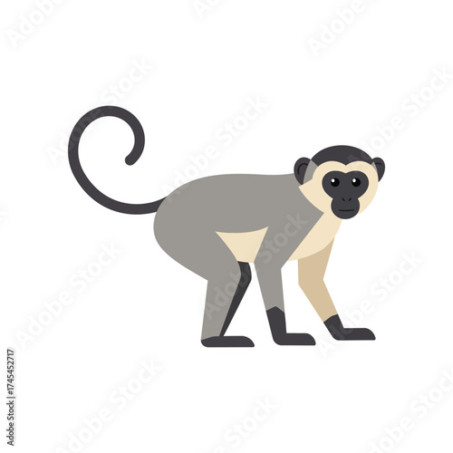 Fotografija Stylized flat illustration of a playful vervet monkey with a curved tail standin