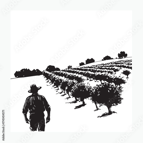 silhouette of a man on a plantation