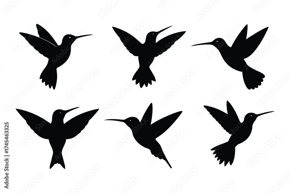 Fototapeta premium Black Hummingbird silhouette vector bundle, Set of Hummingbird silhouette vector illustration