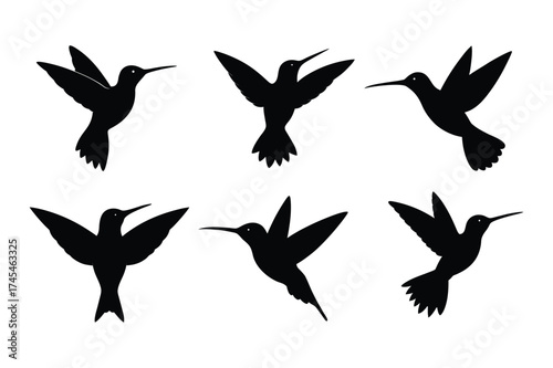 Black Hummingbird silhouette vector bundle, Set of Hummingbird silhouette vector illustration