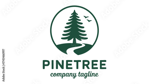 Pine tree nature landscape logo design with winding path and birds flying