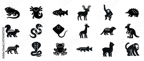 Collection of various animal silhouettes: reptiles, mammals, fish, birds, amphibians. Black solid icons