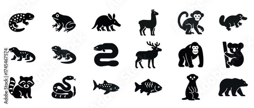 Collection of various animal silhouettes: reptiles, mammals, fish, birds, amphibians. Black solid icons