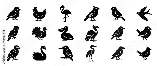 Silhouette collection of various birds including owl, hummingbird, and peacock. Black solid icon