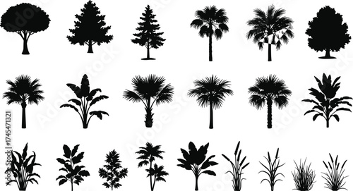 Black tree silhouettes, botanical plant icons, diverse foliage shapes, tropical palm, banana leaf, conifer pine, broadleaf oak, nature illustration, landscape design, educational reference, vector art
