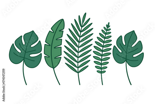 Stylized tropical jungle leaves and exotic foliage isolated on a white background