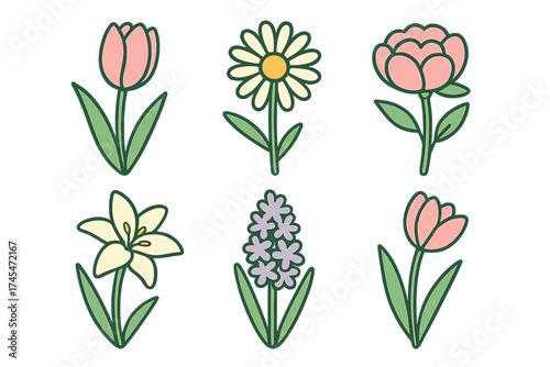 Six colorful spring flowers collection including tulip daisy lily and hyacinth