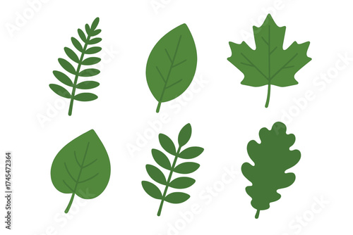 Collection of various stylized green foliage elements and botanical leaf shapes isolated on white