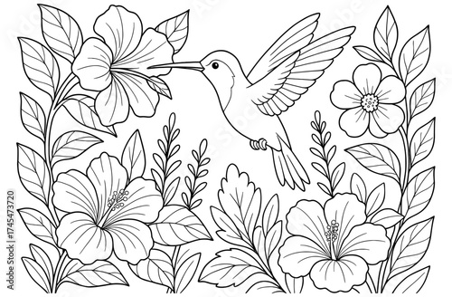 Elegant black and white line art of hummingbird with hibiscus and floral composition