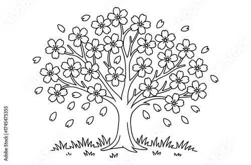 Blooming cherry blossom tree coloring page with falling petals