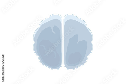Stylized conceptual representation of human brain hemispheres in frosted glass