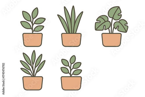 Collection of five stylized indoor houseplants in terracotta pots featuring various green foliage