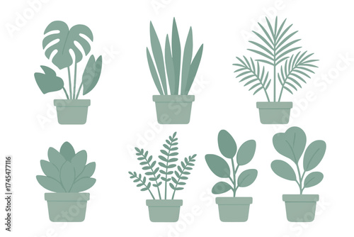 Popular indoor houseplants in pots featuring modern minimalist flat design