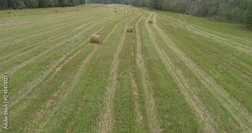 Large field of grass with rows of hay bales in the middle. hay bales are spread out across the field, with some closer to the edges and others further in middle