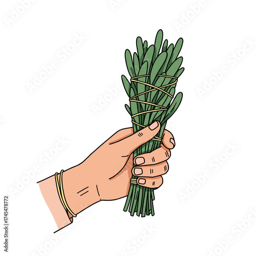 Hand holding a bunch of fresh herbs with green stems  