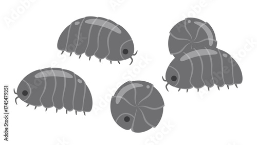 かわいいダンゴムシが集まって自由に移動しているイラスト