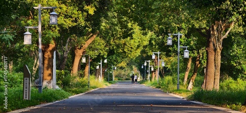 Obraz na plátně ‌Pedestrians taking a walk in the picturesque park‌