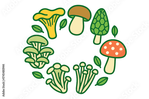 Assortment of colorful wild mushrooms and green leaves arranged in a decorative circular frame
