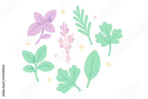 Collection of fresh culinary herbs and aromatic spices rendered in soft pastel colors