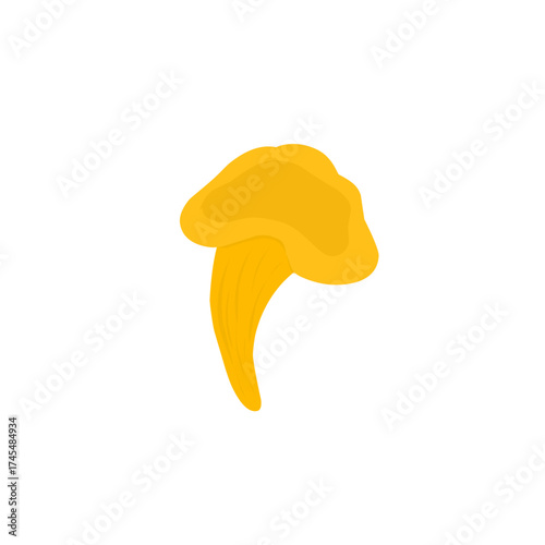 Illustration of chanterelle mushrooms. Illustration of yellow mushrooms. Illustration of wild mushrooms. Illustration of mushroom types