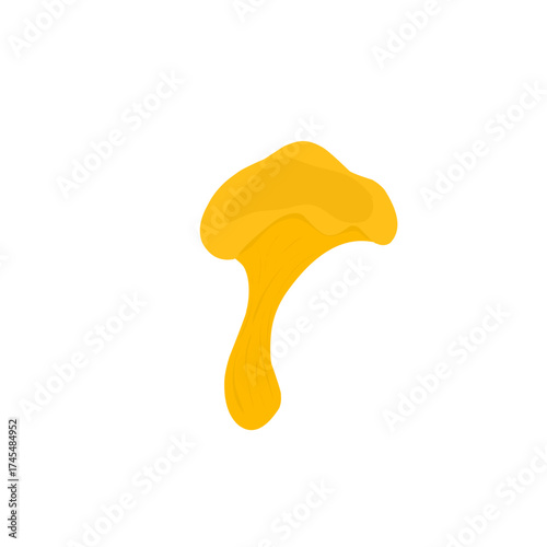 Illustration of chanterelle mushrooms. Illustration of yellow mushrooms. Illustration of wild mushrooms. Illustration of mushroom types