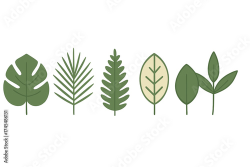 Collection of stylized tropical and generic green leaves representing nature and botany