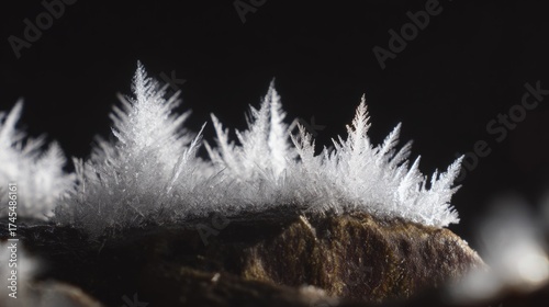 spreading. White mineral deposits like snowflakes on a dark stone surface. ESG reports, sustainability campaigns, designed for environmental awareness campaigns, promotes sustainability.
