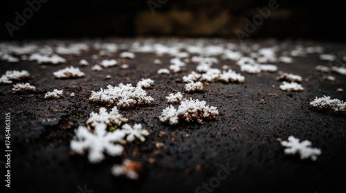 spreading. White mineral deposits like snowflakes on a dark stone surface. ESG reports, sustainability campaigns, designed for environmental awareness campaigns, promotes sustainability.
