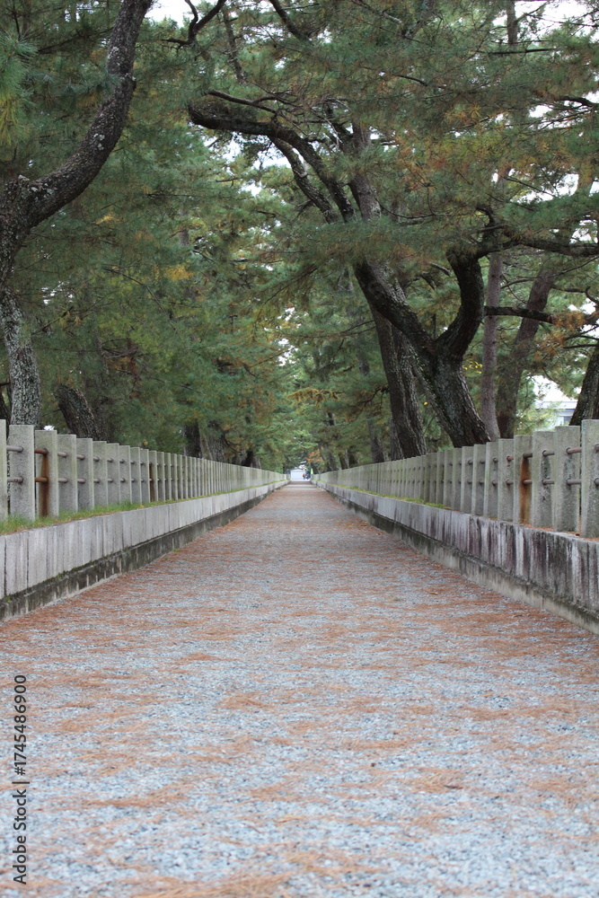 Fototapeta premium 和風の道